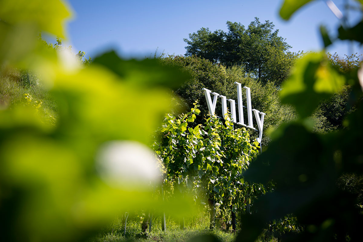 Signalétique du Vully dans les vignes